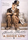A Dog's Life (1918).jpg